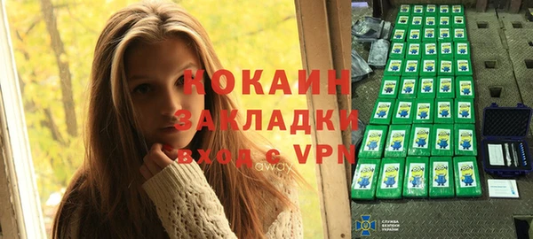 стаф Россошь
