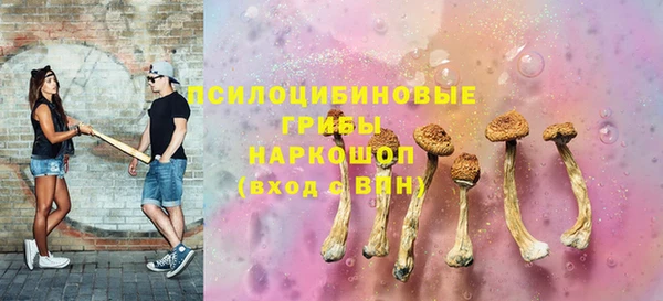 стаф Россошь