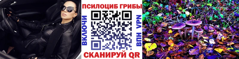 Галлюциногенные грибы GOLDEN TEACHER  Терек 
